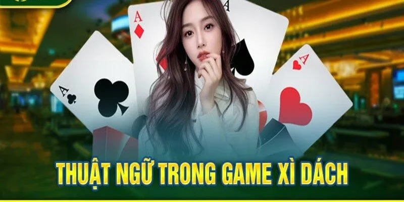 Trò chơi Bài Xì Dách Olybet – Cách kiếm tiền dễ dàng 3 Một vài thuật ngữ trong trò chơi Bài Xì Dách Olybet