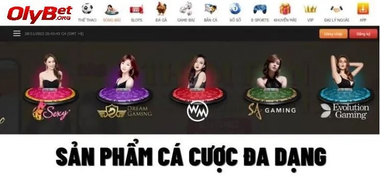 trang chủ 25 Sản phẩm cá cược đa dạng