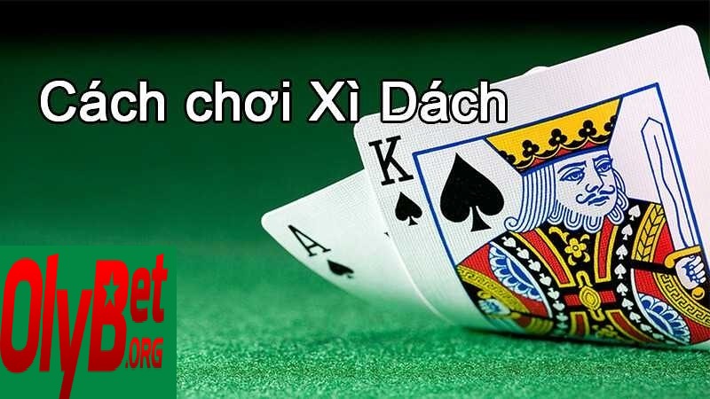 Khám phá trò chơi <strong>Xì Dách</strong> và cá cược tại Olybet năm 2025 4 Một số thuật ngữ cần biết trong trò chơi Xì Dách.